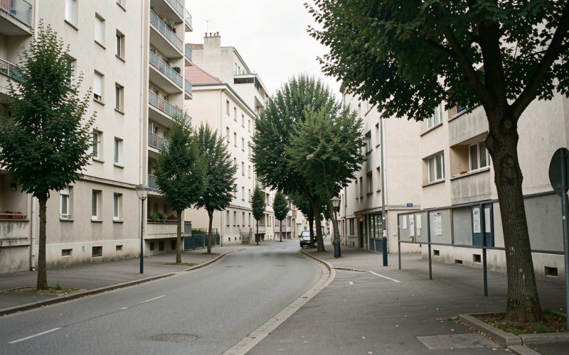 Quelles causes choisir pour expliquer la crise du logement face à la location meublée ?